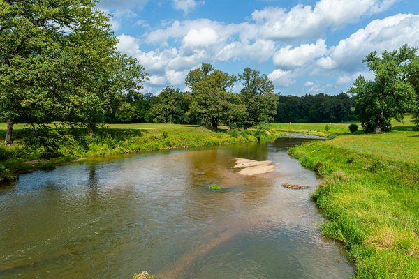 Examens et tests de détection des maladies cardiovasculaires